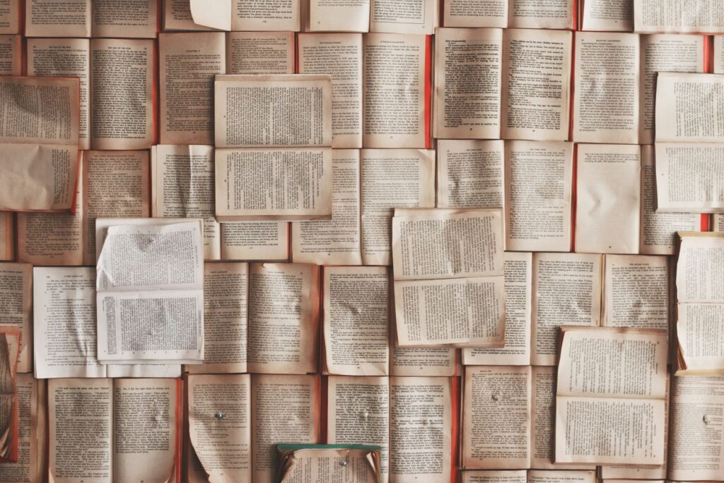 viele Bücher nebeneinander für die englische Sprachreise
