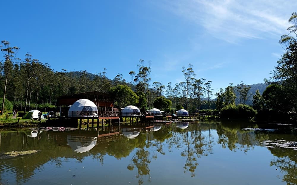 Campamento de verano