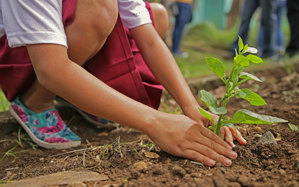 Becas de Secundaria EEUU 2027/28