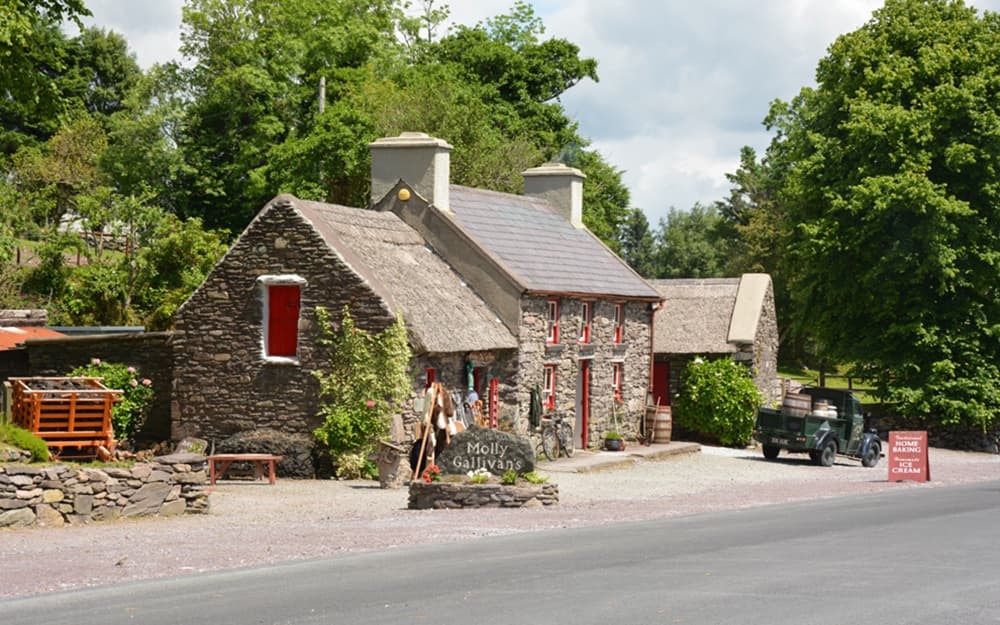 Pueblo irlandés Secundaria